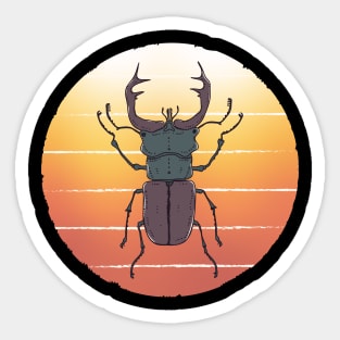 Stag Beetle Sticker